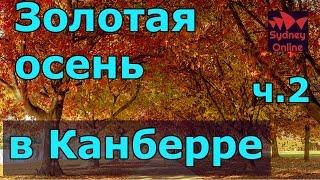 Канберра, столица Австралии ч.2 | Австралия | Канберра | ANZAC parade | Город миниатюр