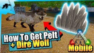 Ark Survival Evolved Mobile| How To Get/Farm Pelt/Dire Wolf Tame| iOS/Android Total Beginners Guide