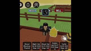 This Roblox Grow A Garden EGG Script Is CRAZY!