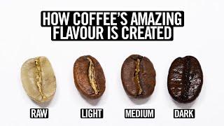 Coffee Roasting Explained