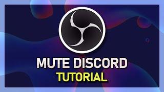 How To Mute Discord in OBS