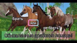 Покупка нового обновленного араба!/ StarStableOnline