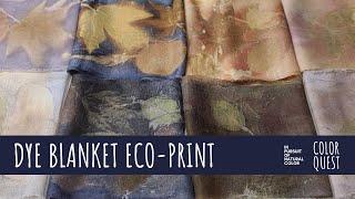 HOW TO ECO-PRINT WITH A DYE BLANKET | ORGANIC COLOR | LEAVES TANNIN ALUM MORDANT | MADDER LOGWOOD