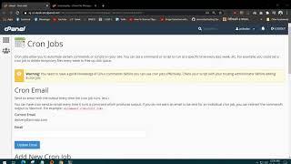 set url / site link as CronJob in Cpanel #cronJob #url #cpanel #php