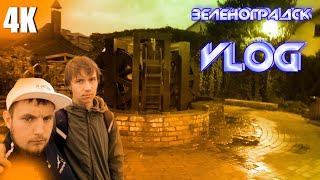 VLOG:ЗЕЛЕНОГРАДСК/ПРОГУЛКА|#ДЖУКО И #ZUBR_BALT 4К 2023