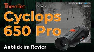 ThermTec Cyclops 650 Pro Wärmebildkamera - Anblick im Revier