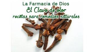 Clavo de olor, recetas para remedios naturales - Salud y Belleza Natural