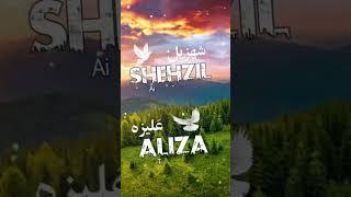 Shehzil & Aliza | Name Meaning Status || Urdu e Hind Official