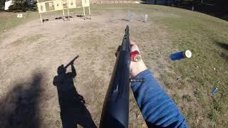 Shotgun training (Doruk)