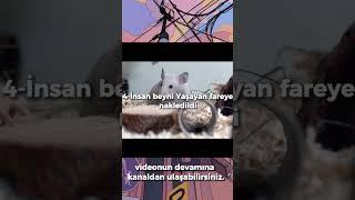 2022'de Yaşanan Bilimsel Gelişmeler videosuna kanaldan ulaşabilirsiniz.#bilim #yapayzeka #keşfet