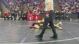 Poynette’s Ashton Meister loses 157-pound D3 state finals match