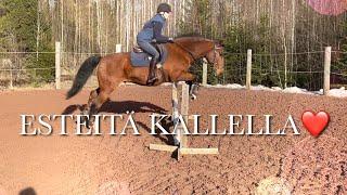 ESTEITÄ KALLELLA️