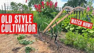 Old Style High Wheel Cultivator - Agri Supply® Product Spotlight