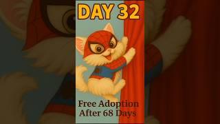 DAY-32new born kittensFree ADOPTION after 100 days.. read full description. #newbornkitten
