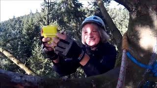 Climbing to the highest tree climbing geocache in Europe