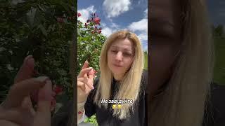 #любовнийприворот #люблюсуши #гроші #подорож