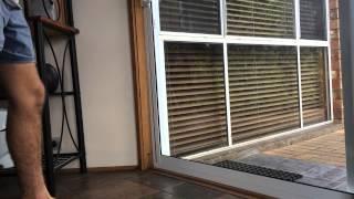 Cat Running Into Glass Door FAIL