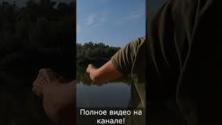 Осенняя плотва