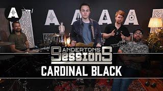 Cardinal Black - Tell Me How It Feels | Andertons Session