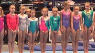 Mistrovství ČR ve sportovní gymnastice žen VS - Ostrava 17.6. - 18.6. 2017