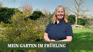 Mein Garten im Frühling - Rundgang und Pflanzenvorstellungen