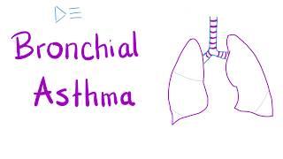 Bronchial Asthma - Airway Disease - Pulmonology Series