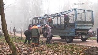 Міська толока| Телеканал Новий Чернігів