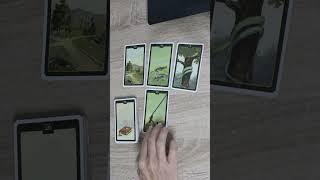 атака на крымский мост? #гадание #онлайнрасклады #tarot