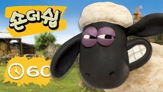 에피소드 31~40 - 숀 더쉽 - 편집 1 시간 - 시리즈 2 [Shaun the Sheep Korea | Compilation]