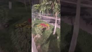 Welcome to Uzbekistan   15.06.2025