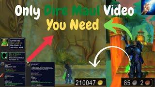 ULTIMATE Classic Wow Fresh Dire Maul Gold and Item Guide!