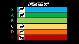 The Dog Tier List