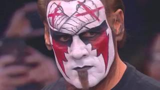 The Tragic Side Of Wrestling Legend Sting's Real Life