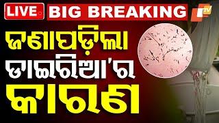 Big Breaking | ଜଣାପଡ଼ିଲା ଡାଇରିଆ’ର କାରଣ | Cause Behind Diarrhoea Outbreak Identified, Say Health