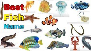 Fish Vocabulary | BEST Fish Names (Awesome Fish Name Ideas)