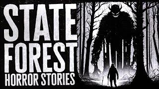 4 Scary State Forest Horror Stories