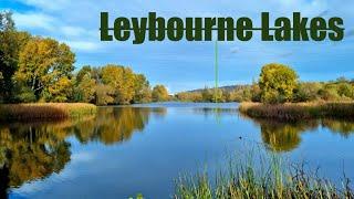 Leybourne lakes Medway Kent England United Kingdom Day trip Hiking walking dog friendly family walk