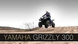 Квадроцикл Yamaha Grizzly 300 - DDrive E12 - тест-драйв