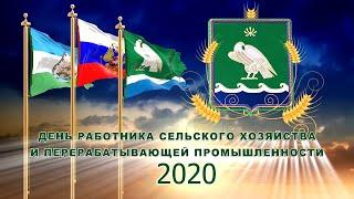 Праздничный концерт посвященный Дню работников сельского хозяйства 2020