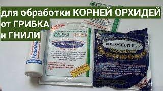 для корней ОРХИДЕЙ от ГРИБКА и ГНИЛИ ФИТОСПОРИН какой и как применять