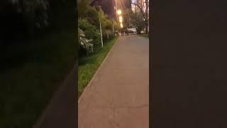 Satpaev St, Almaty, Kazakhstan 4/28/2018