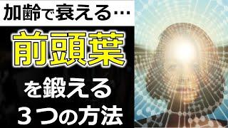 前頭葉を鍛えるトレーニング方法3つのパターンとは？仕事のパフォーマンスを高める方法！