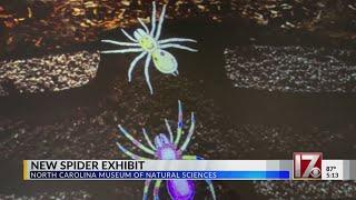 New spider exhibit opens at NC Museum of Natural Sciences