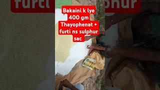 Inkota super swat agro furti ns sulphur+400gm tayophanat jhandha rog rice dhan