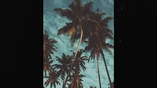 [FREE FOR PROFIT] chill x tropical type beat - "summer vibes" (prod. urmy x JBC)