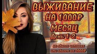 КАК ПРОЖИТЬ НА 1000₽ МЕСЯЦ НА ЧЕЛОВЕКА?!ЖИВЁМ ВДВОЕМ НА 2000₽ В МЕСЯЦ! ЭКОНОМНОЕ МЕНЮ НА МЕСЯЦ! 2024