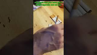 Why You Should Make Your Own Cigarettes at Home