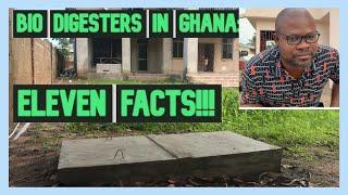 11 Amazing Facts About Biodigesters You Need To Know