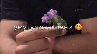 «гель досум» Хадис/Сэм 