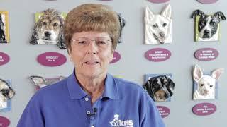 KHS Volunteer Video